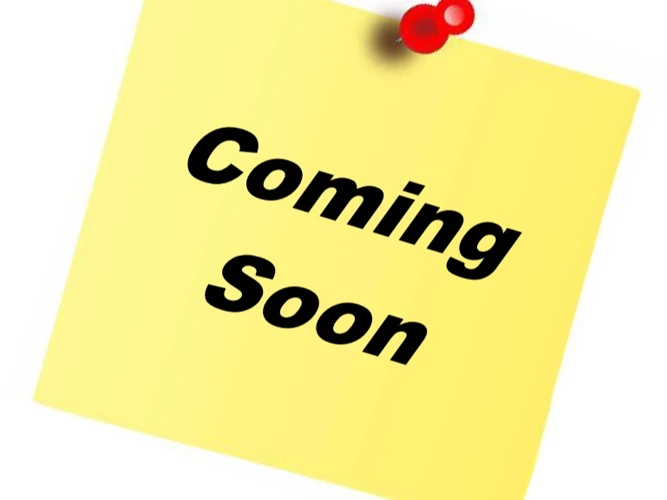 New Cats & Kittens coming soon