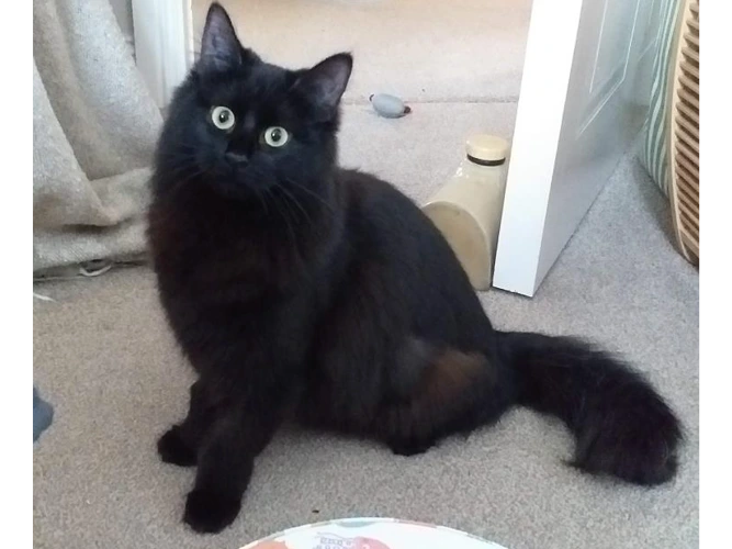 7-month-old Sabrina