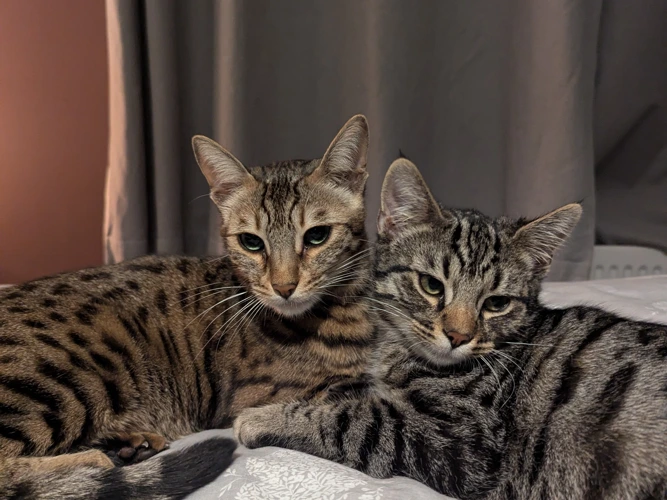 Zena & Bruno