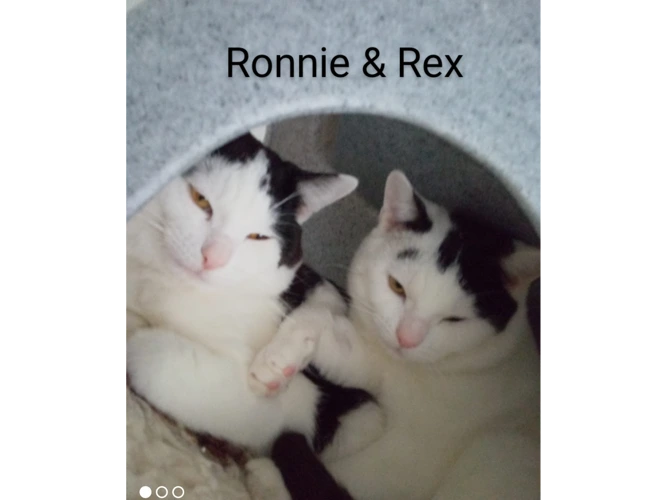 Ronnie & Rex