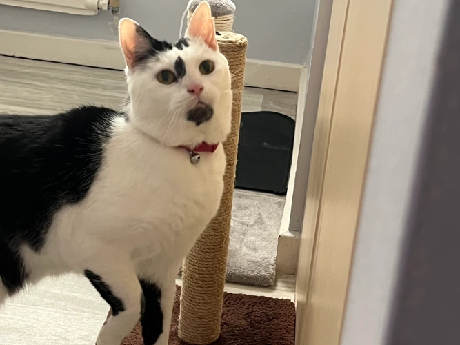 Egon