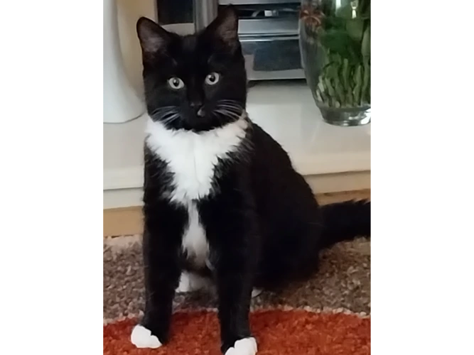 Narla