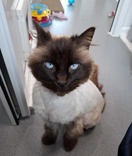 Winnie