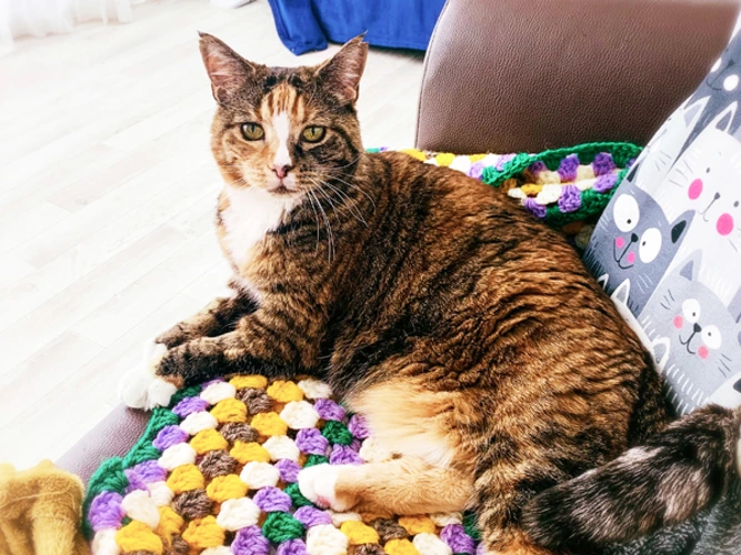 Missie
