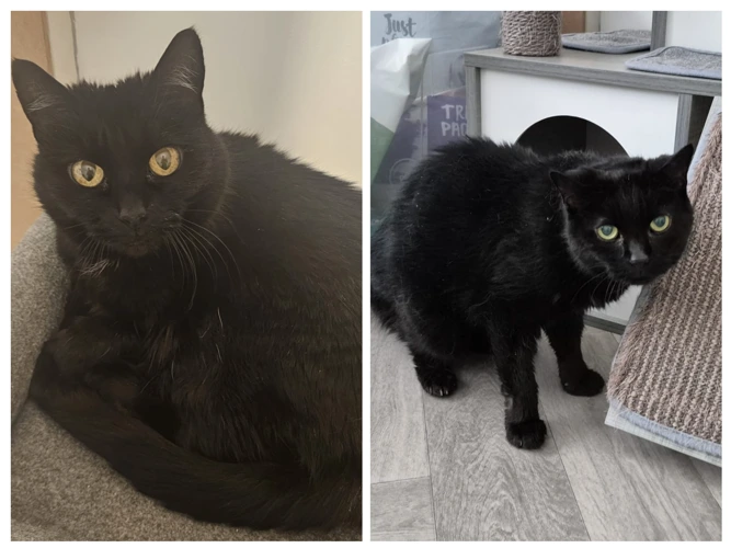 Poppy & Rosie