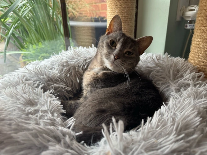 9-year-old Storm