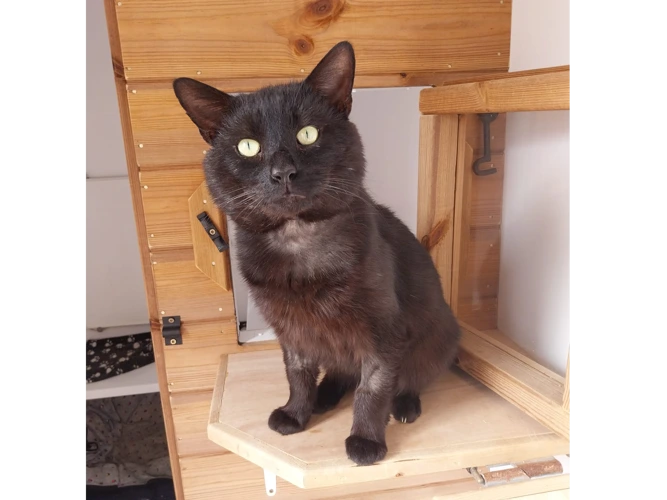 Charles