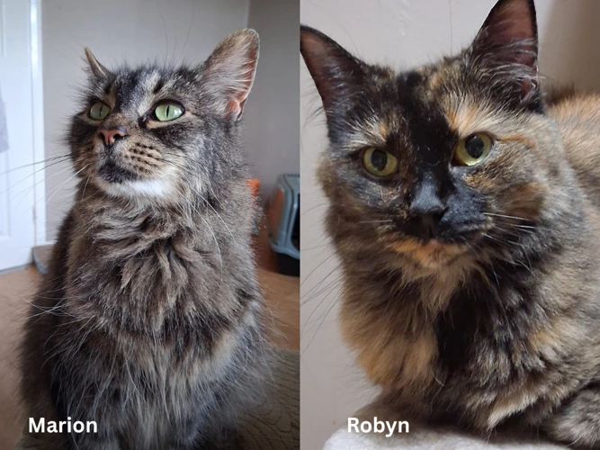 Robyn & Marion