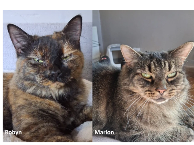 Robyn & Marion