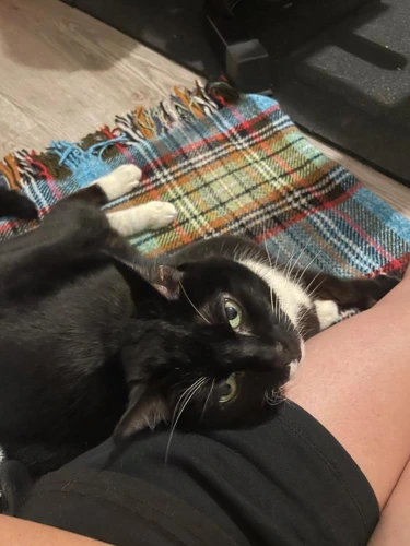 Billie Boop