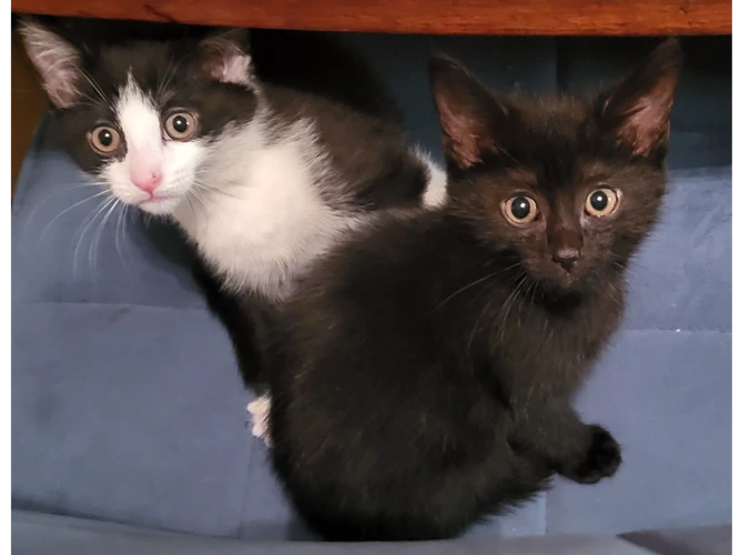 Buttercup and Bubbles