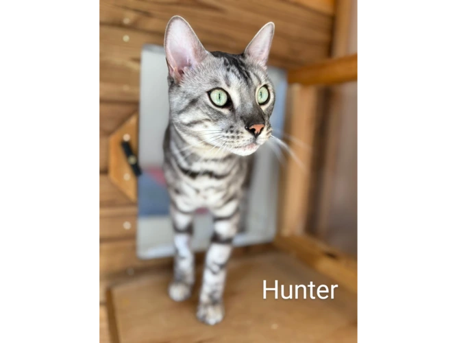 Hunter
