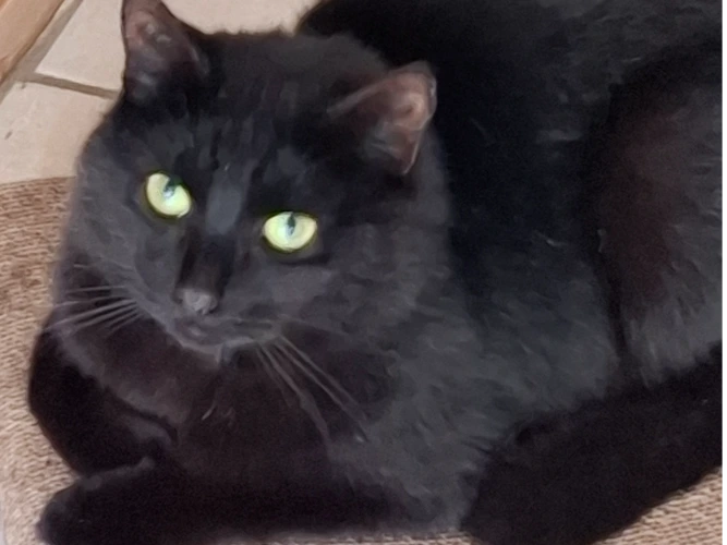 Jasper