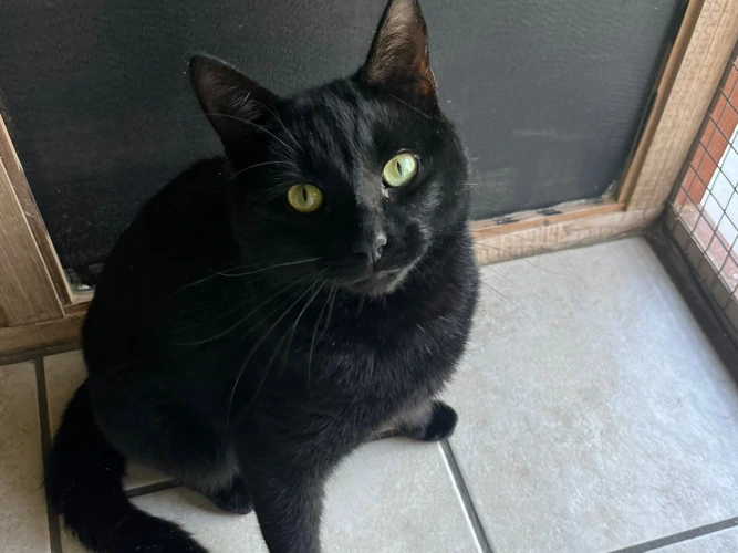 Jasper