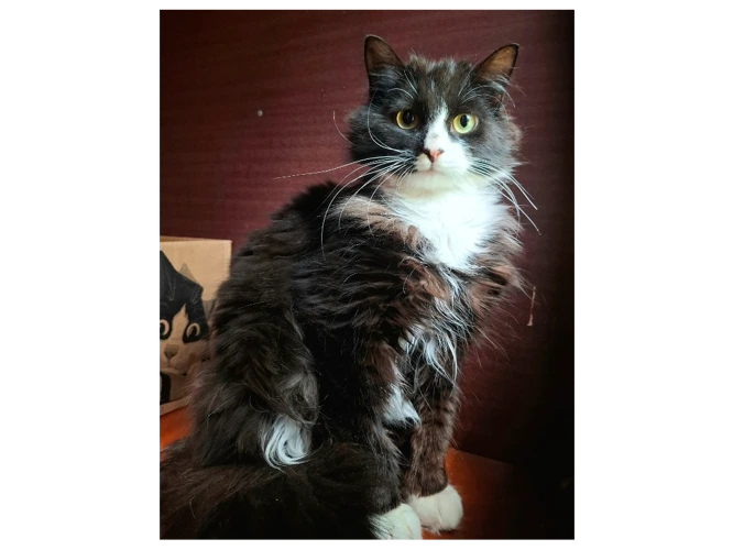 Pablo