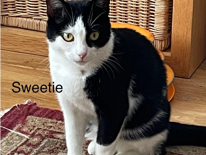Sweetie