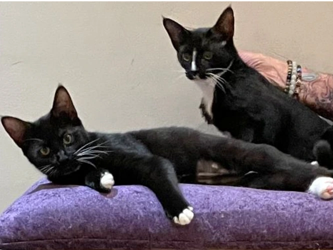 Jacob and Lily (PAIR)
