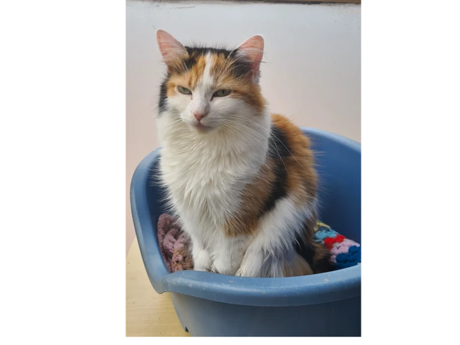 Narla