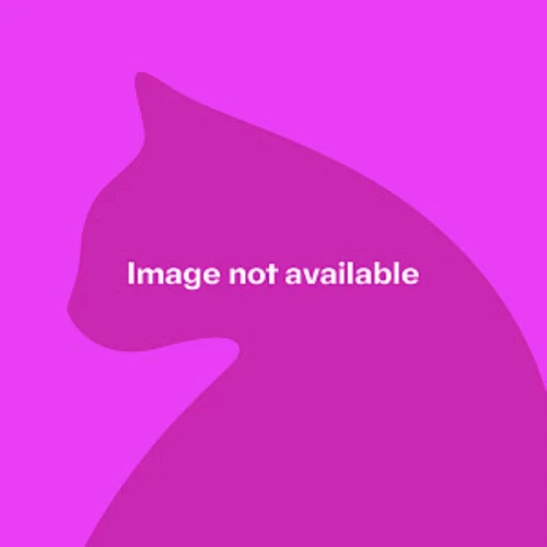 Binx