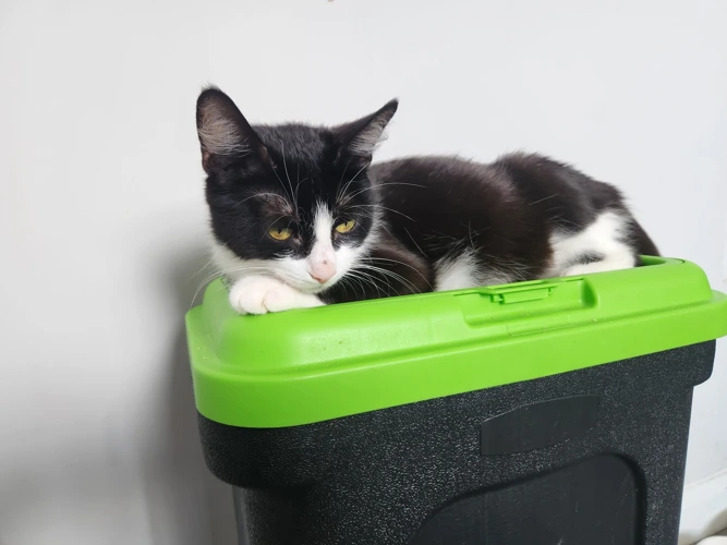 Nala