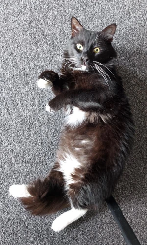 Kevin 3yrs old