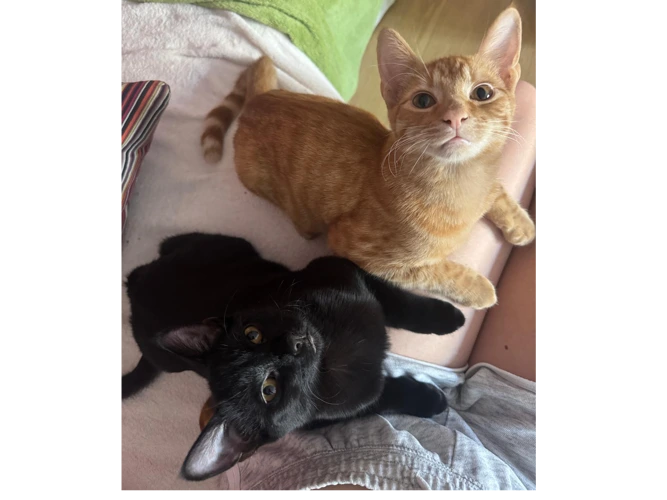 Jasper and Joey