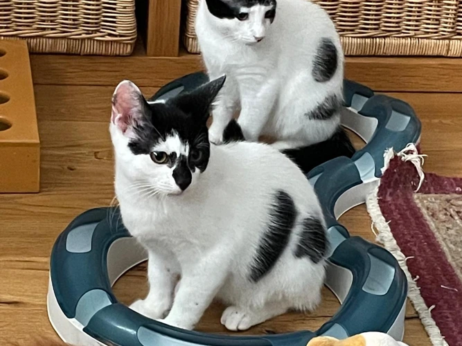 Matty & Maxi