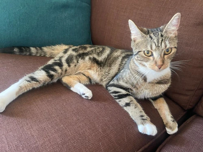 Tinker