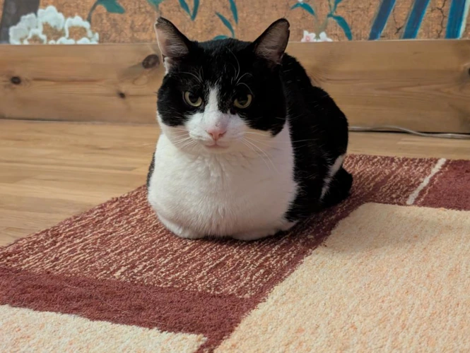 William