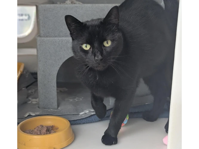 Milo