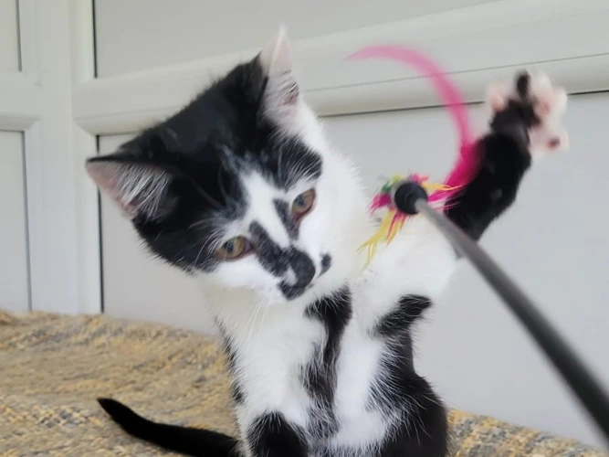 Zoe