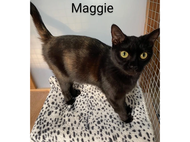 Maggie