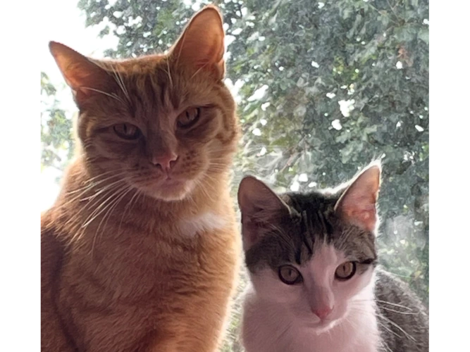 Tigger & Winnie