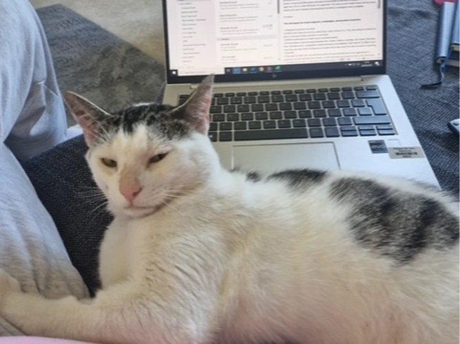 Tom