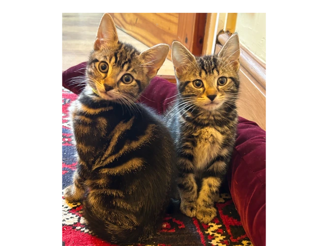 Dexy and Danny