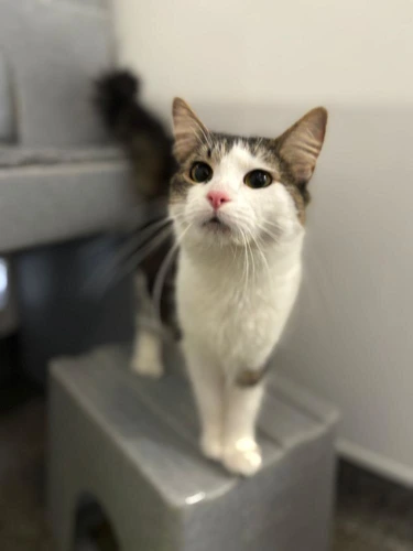 Lucie