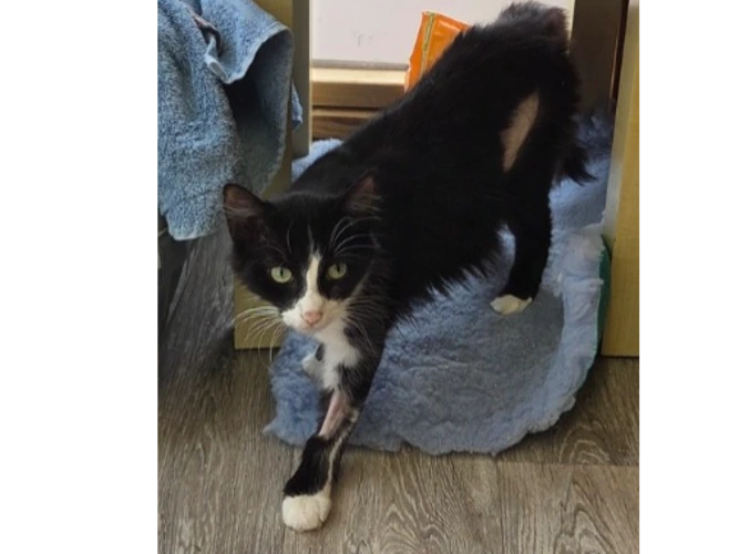 Luna