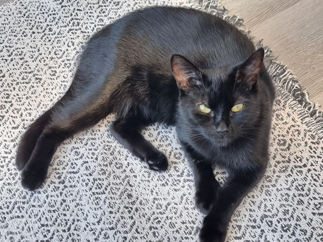 2-year-old Cassie