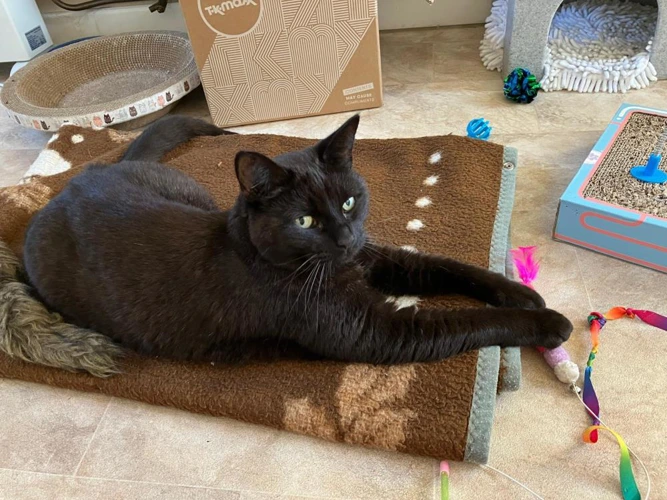 Shadow was Wilson was Jeremy