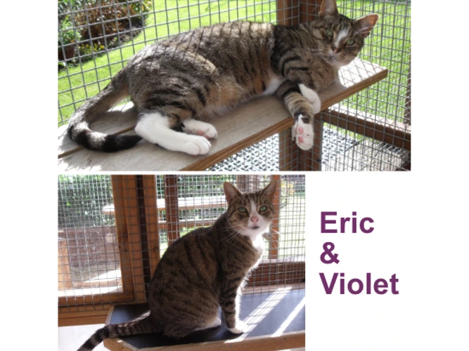Violet & Eric