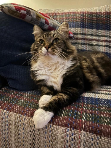 Duncan