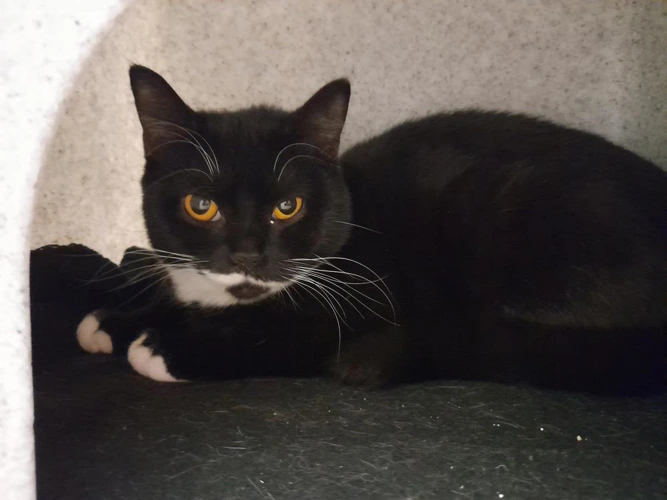 Salem