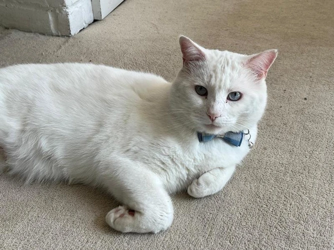 Charlie