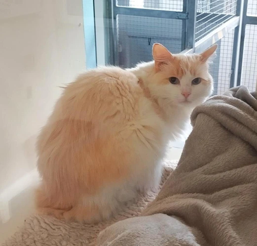 Yuki