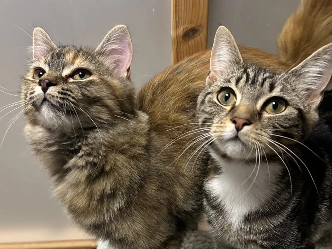 7-month-old Shirley and Motsi