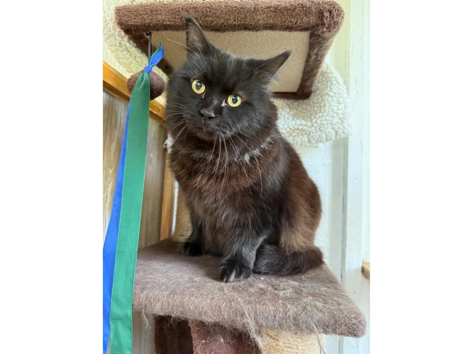 Charlie