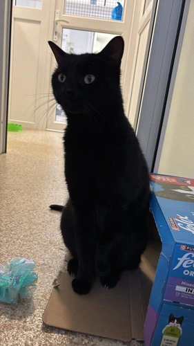 Sabrina
