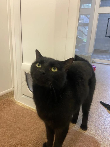 Sabrina