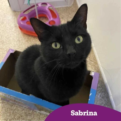 Sabrina
