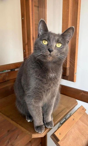 LUNA